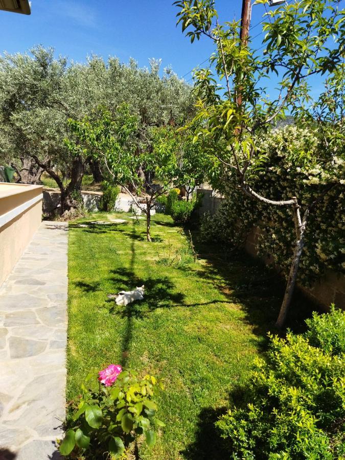 View House Villa Agria Exterior photo